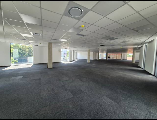 1,600M² OFFICE TO LET IN SANDTON CENTRAL